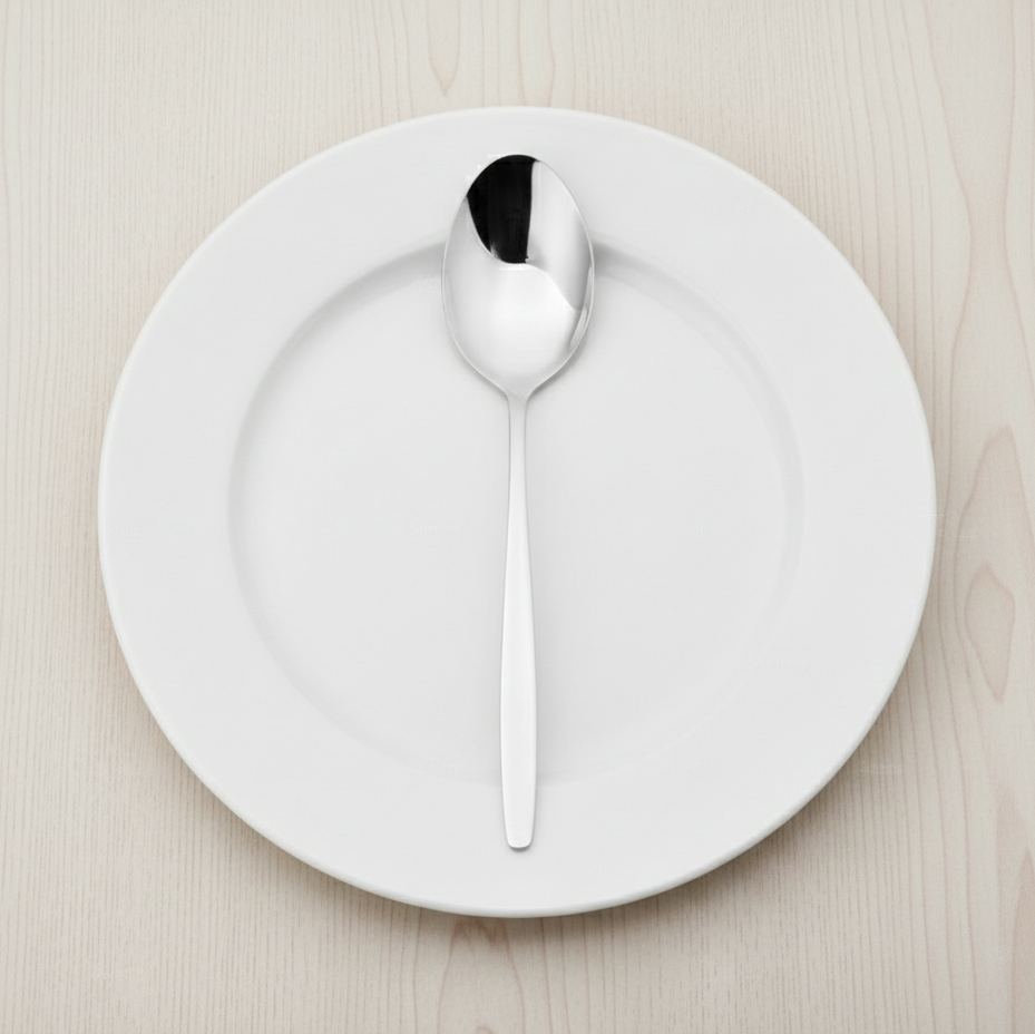 SET DE 12 CUCHARAS PARA SERVIR COLECCIÓN FIRDA