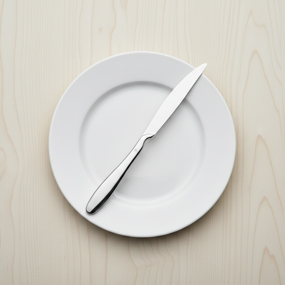 SET DE 12 CUCHILLOS DE MESA COLECCIÓN ANZO