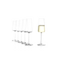 Copa de Champagne Power 240 ml - Set de 6 Unidades Stölzle Lausitz