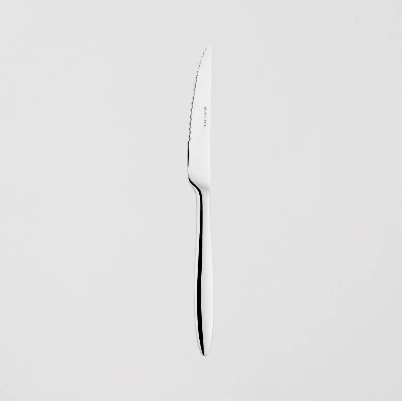 SET DE 12 CUCHILLOS DE FILETE COLECCIÓN SONATE