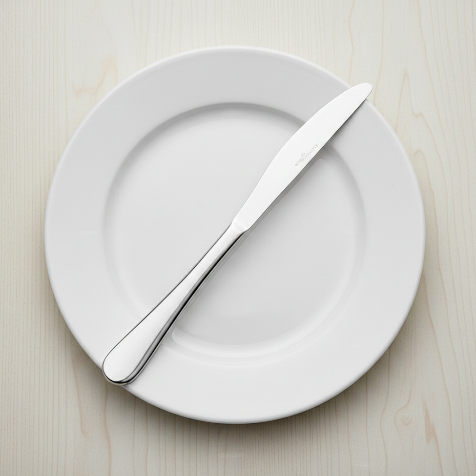 SET DE 12 CUCHILLOS DE MESA COLECCIÓN ARCADE