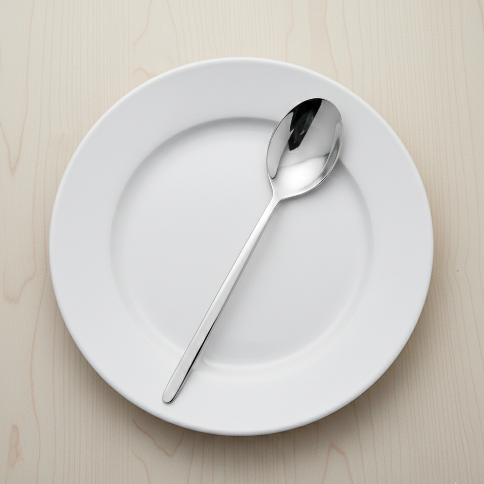 SET DE 12 CUCHARAS DE POSTRE COLECCIÓN ALASKA