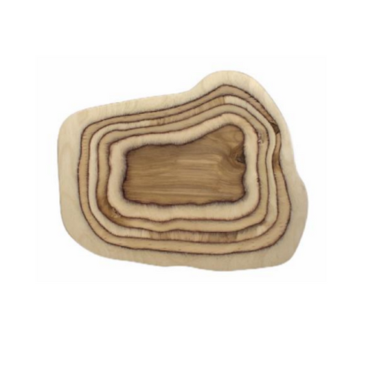 Bandeja rectangular 30x25cm.