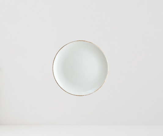 PLATO PLANO RETRO 21 CM