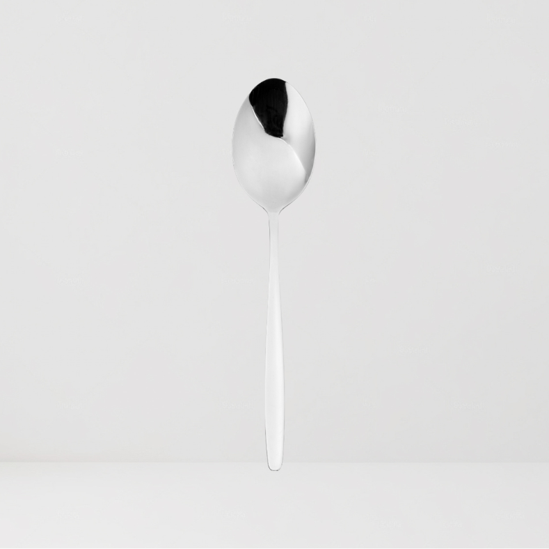 SET DE 12 CUCHARAS PARA SERVIR COLECCIÓN FIRDA