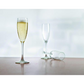 Copa Champagne Meslier 170 ml (5 onzas)