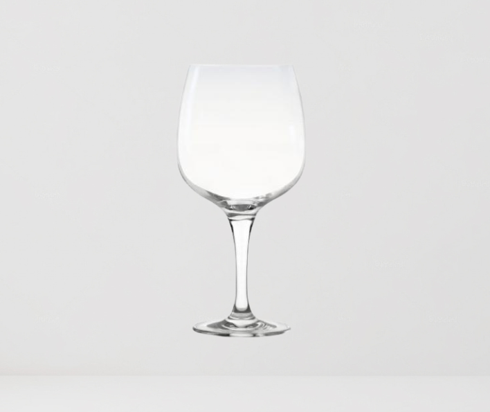 SET DE 6 COPAS PARA GIN TONIC STOLZLE 755 ML